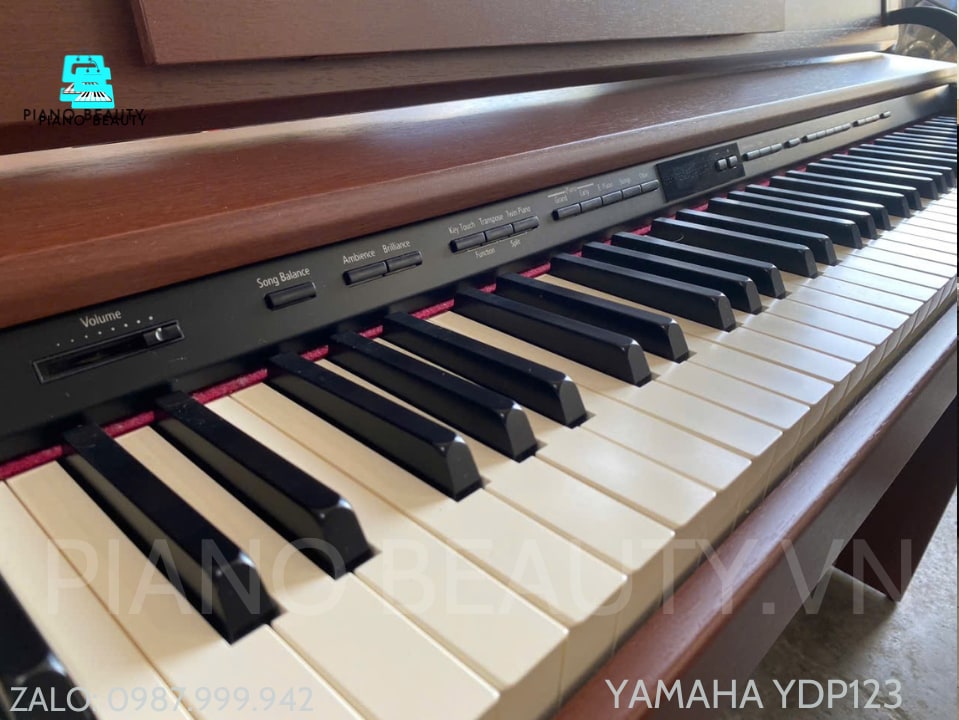 Đàn Piano điện Roland DP90, DP990F ROLAND — ảnh 10
