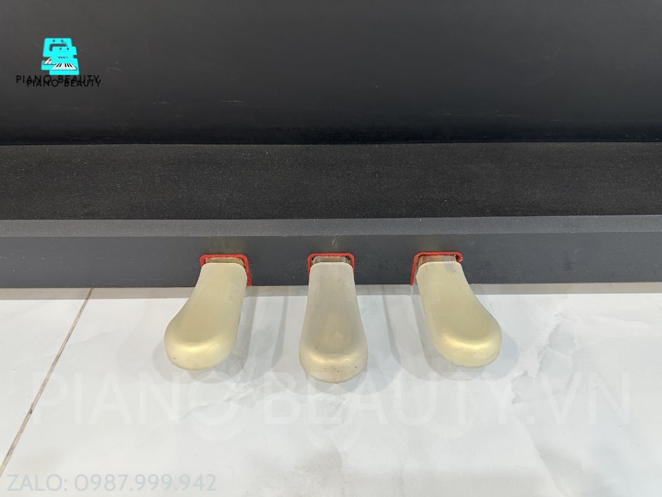 Đàn Piano điện Korg C6500 KORG — ảnh 8