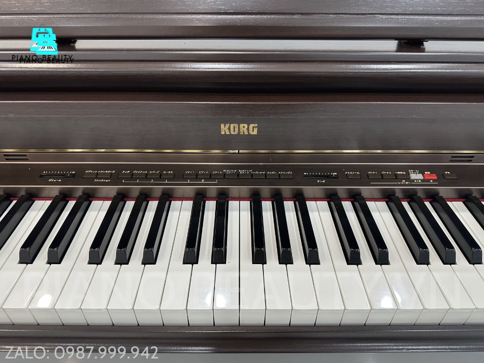 Đàn Piano điện Korg C6500 KORG — ảnh 2