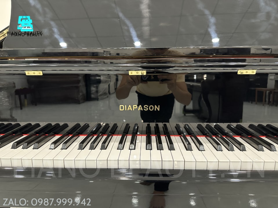 Đàn Piano Grand Diapason 183E DIAPASON — ảnh 5