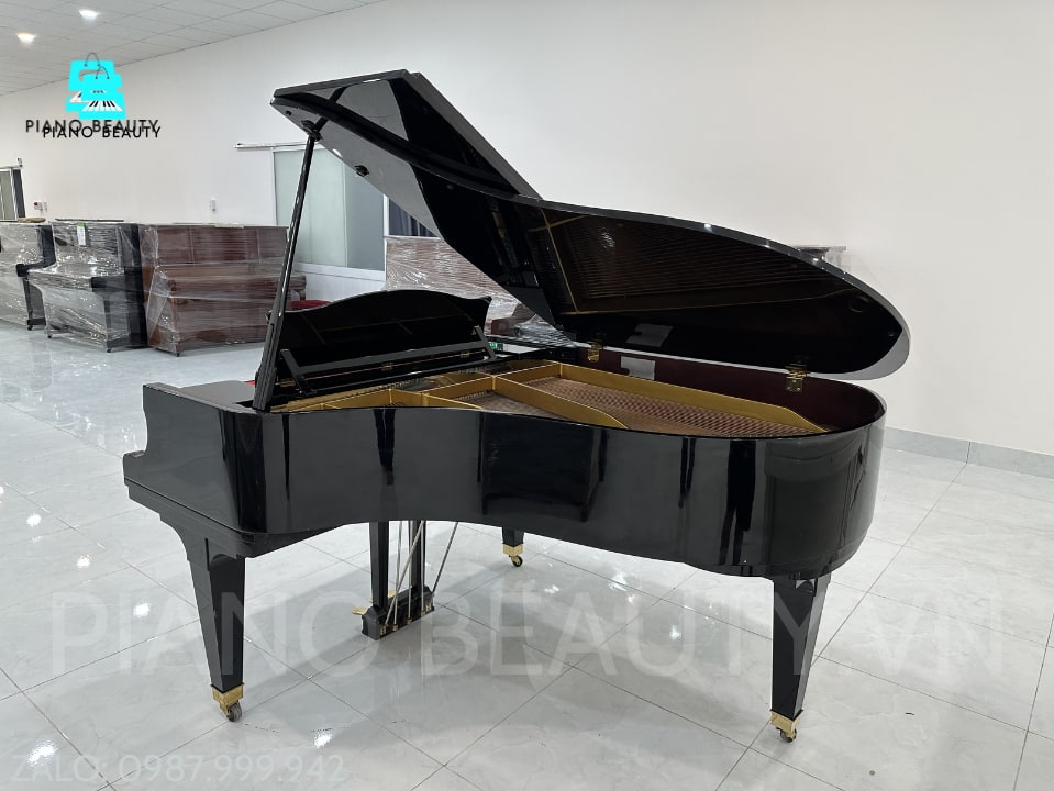 Đàn Piano Grand Diapason 183E DIAPASON — ảnh 3
