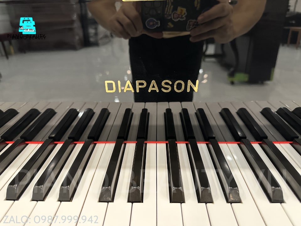 Đàn Piano Grand Diapason 183E DIAPASON — ảnh 10