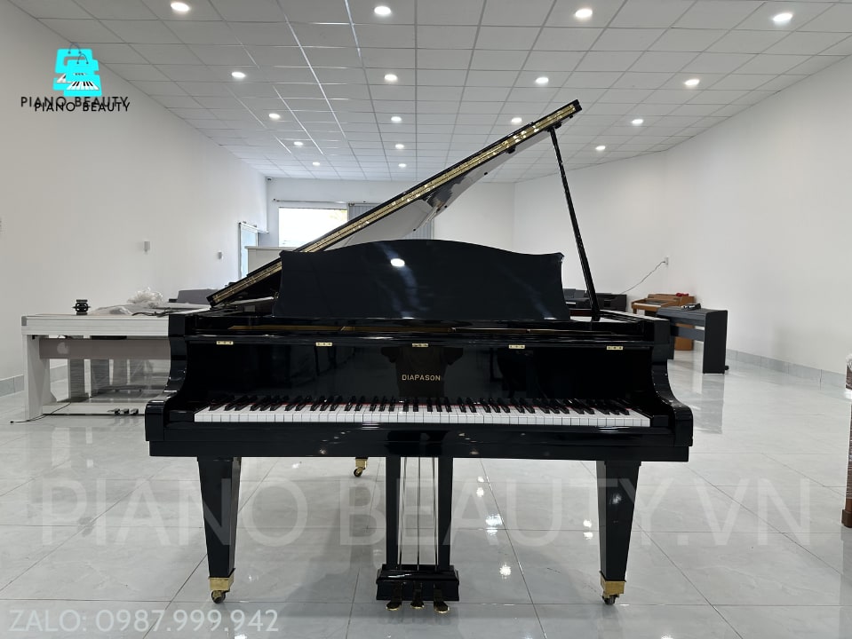Đàn Piano Grand Diapason 183E DIAPASON — ảnh 4