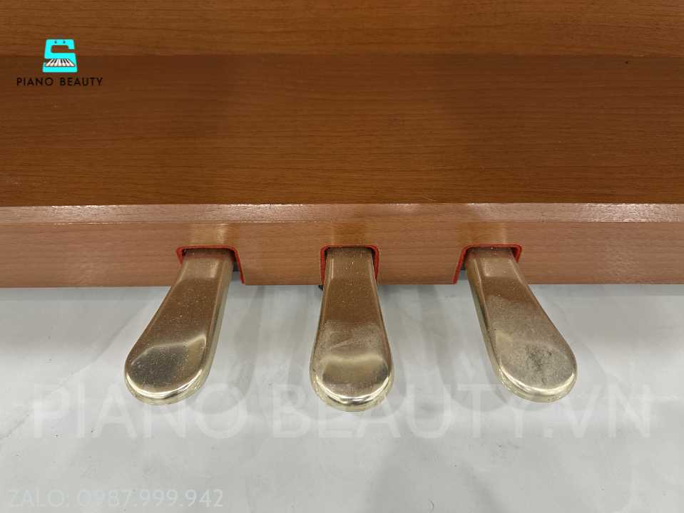 Đàn Piano Điện Kawai PW1000C – Bàn Phím Gỗ Cao Cấp, Âm Thanh Đậm Chất Piano Cơ Kawai — ảnh 7
