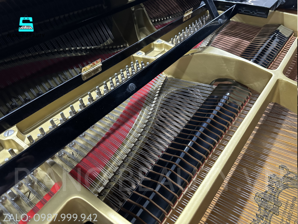 Đàn Grand Piano Yamaha G3B – Đại Dương Cầm 183cm Đẳng Cấp Biểu Diễn Chuyên Nghiệp Yamaha G3B – Âm Thanh Mạnh Mẽ, Đẳng Cấp Grand Piano Nhật Bản Yamaha — ảnh 7