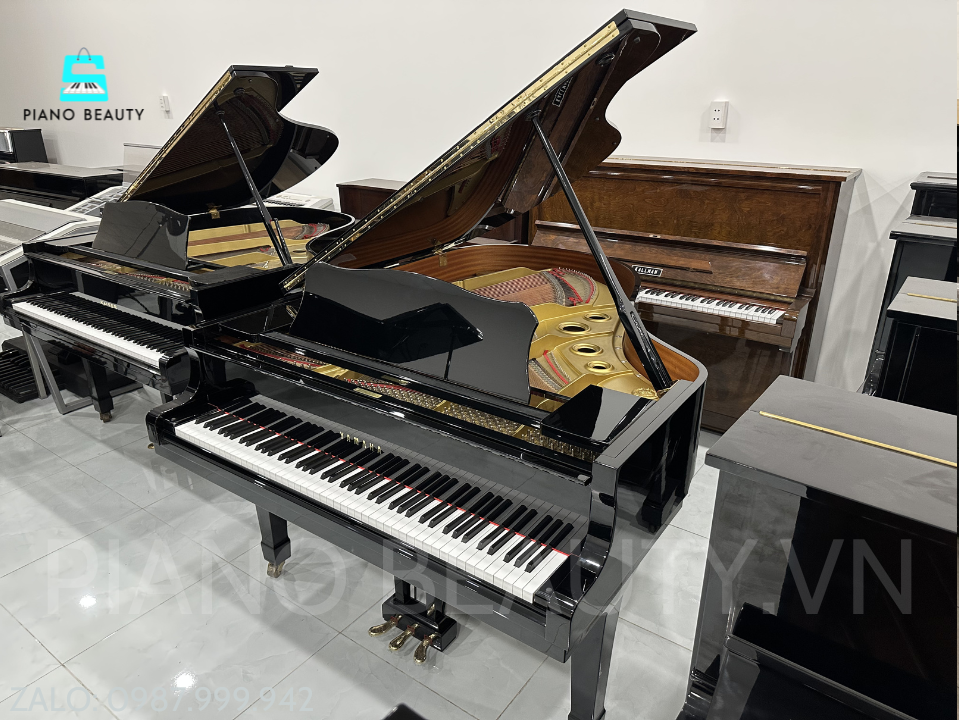 Đàn Grand Piano Yamaha G3B – Đại Dương Cầm 183cm Đẳng Cấp Biểu Diễn Chuyên Nghiệp Yamaha G3B – Âm Thanh Mạnh Mẽ, Đẳng Cấp Grand Piano Nhật Bản Yamaha — ảnh 12