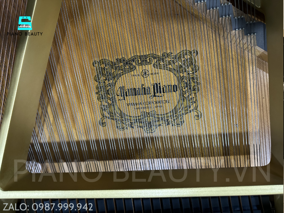 Đàn Grand Piano Yamaha G3B – Đại Dương Cầm 183cm Đẳng Cấp Biểu Diễn Chuyên Nghiệp Yamaha G3B – Âm Thanh Mạnh Mẽ, Đẳng Cấp Grand Piano Nhật Bản Yamaha — ảnh 4