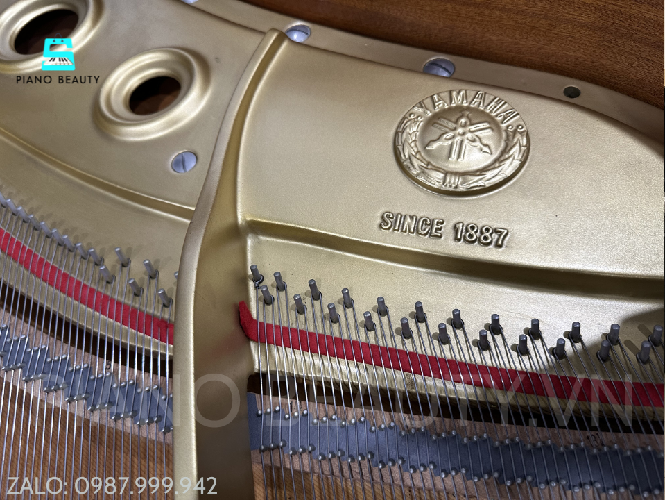 Đàn Grand Piano Yamaha G3B – Đại Dương Cầm 183cm Đẳng Cấp Biểu Diễn Chuyên Nghiệp Yamaha G3B – Âm Thanh Mạnh Mẽ, Đẳng Cấp Grand Piano Nhật Bản Yamaha — ảnh 6
