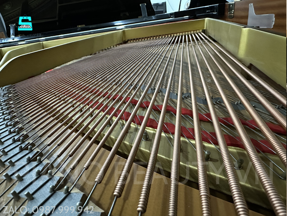Đàn Grand Piano Yamaha G3B – Đại Dương Cầm 183cm Đẳng Cấp Biểu Diễn Chuyên Nghiệp Yamaha G3B – Âm Thanh Mạnh Mẽ, Đẳng Cấp Grand Piano Nhật Bản Yamaha — ảnh 5