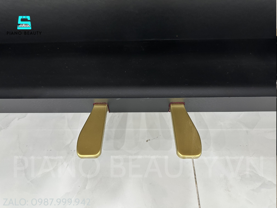 Đàn Piano Điện Casio AP15 Nội Địa Nhật Bản Chính Hãng Casio — ảnh 11
