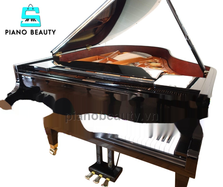 Đàn Piano Grand Diapason 170H: Bộ máy phát âm thanh ấm áp