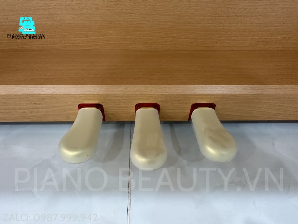 Đàn Piano điện Korg C3200C Korg — ảnh 9
