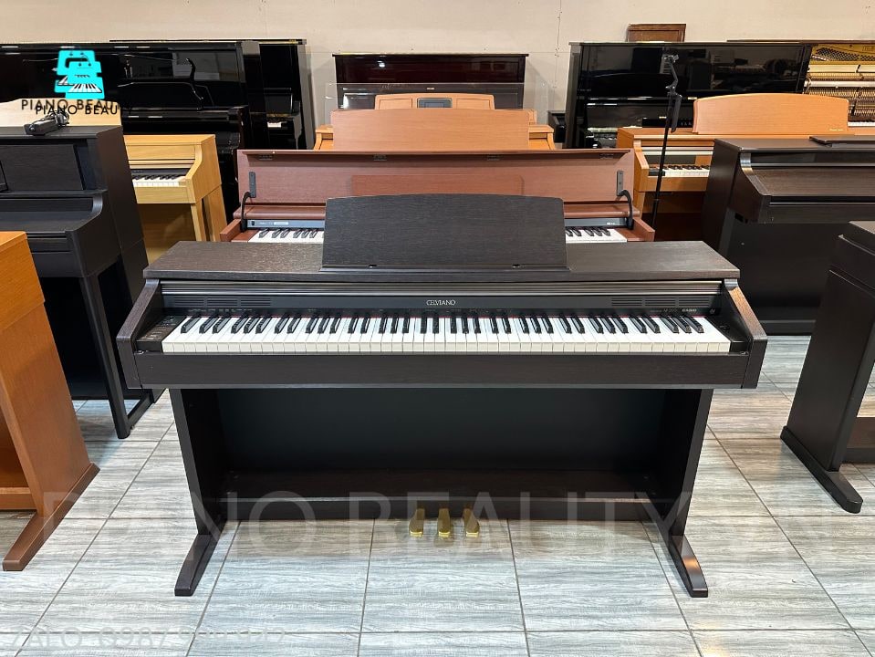 Đàn Piano điện Casio AP200 CASIO — ảnh 8