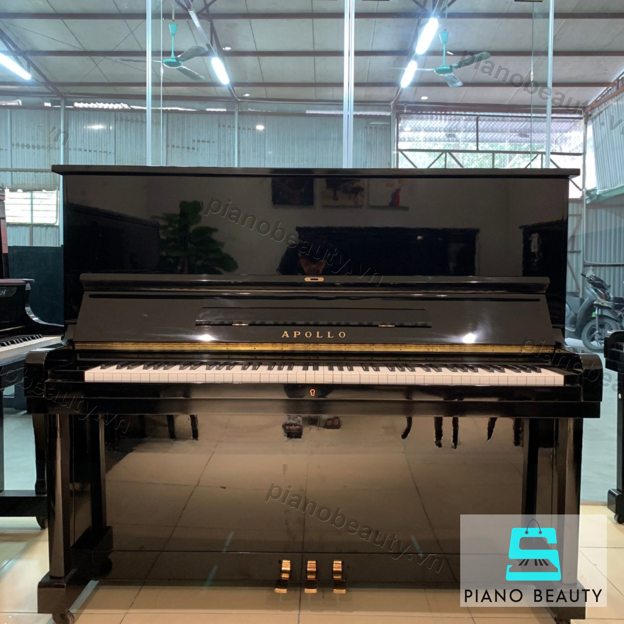 Đàn Piano Apollo A6