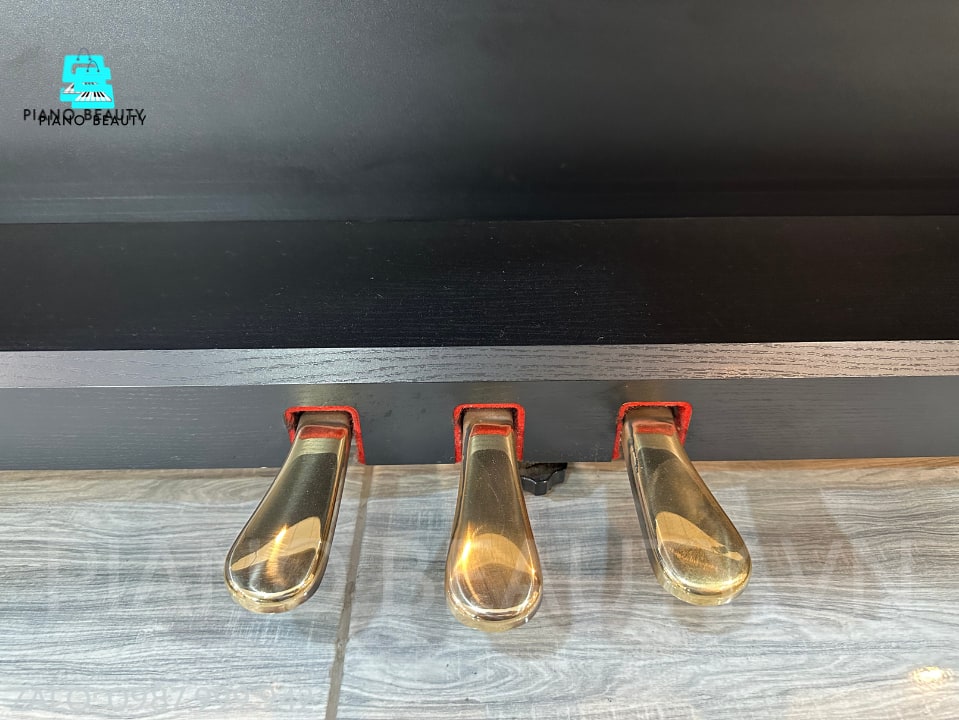 Đàn Piano điện Yamaha YDP161B YAMAHA — ảnh 9