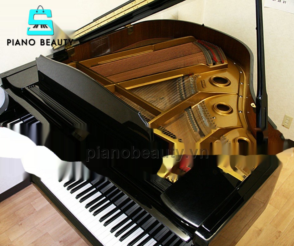 Đàn Piano Grand Atlas AG570 âm thanh chuẩn biểu diễn