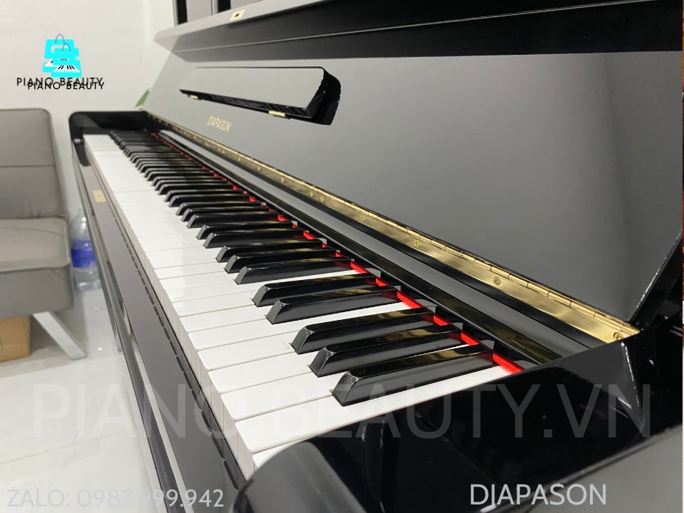 Đàn Piano Grand Diapason 170H