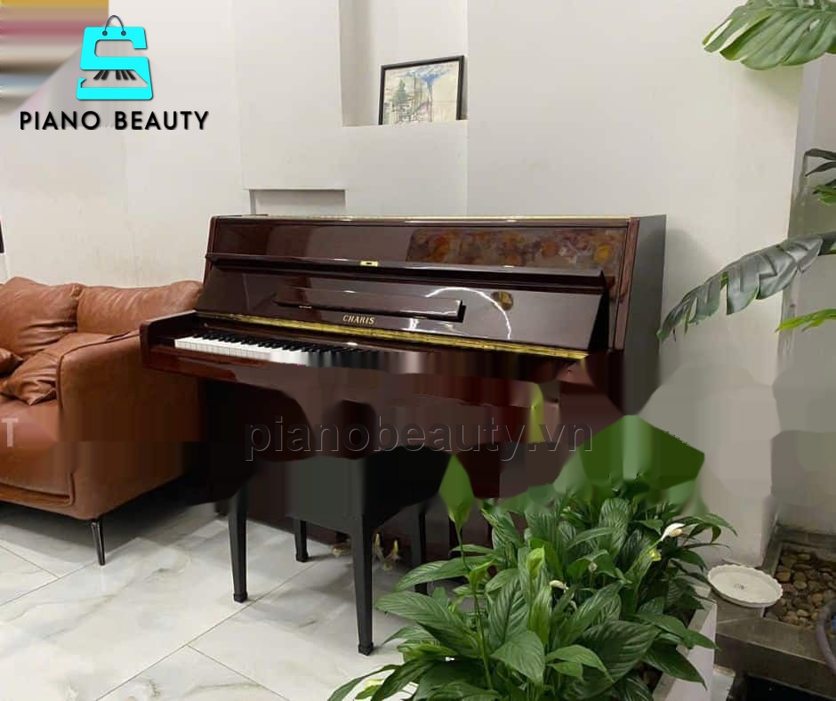 Đàn Piano Cơ Charis AH10