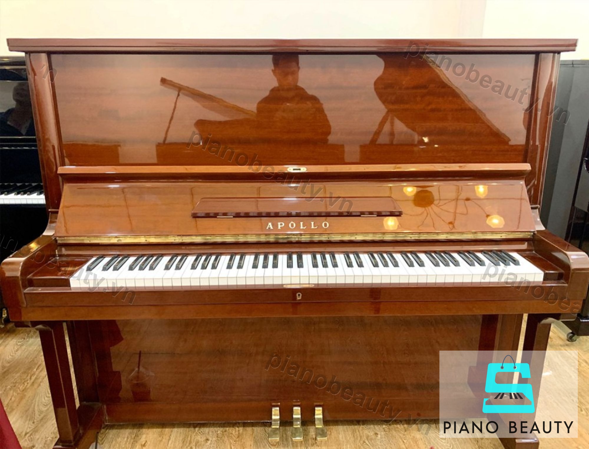 Đàn Piano Apollo A360