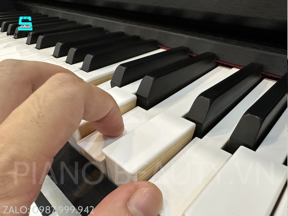 Đàn Piano Điện Casio GP-300 Nhập Khẩu Nhật Bản – Grand Hybrid C.Bechstein, Phím Gỗ Thật Cao Cấp Casio — ảnh 4