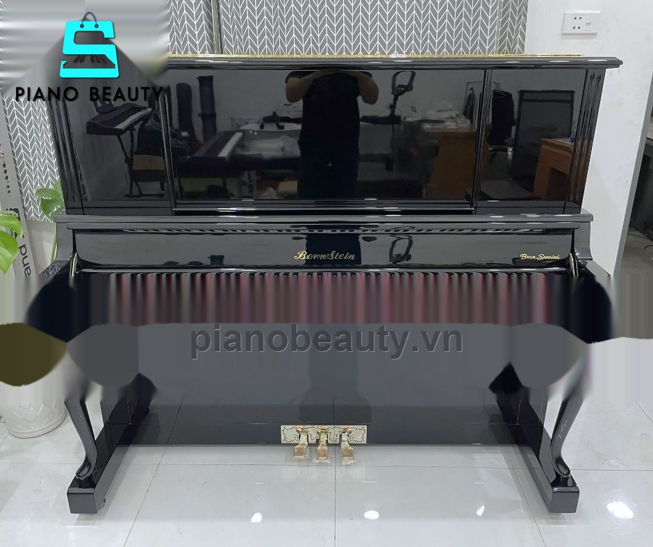Đàn Piano Bernstein BU550DE