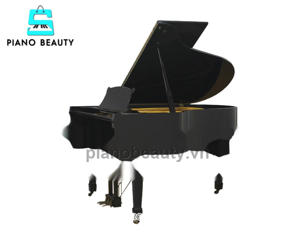 Đàn Piano Grand Apollo RG30 lựa chọn lý tưởng cho gia đình