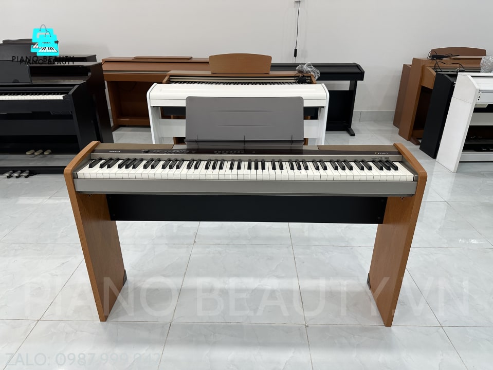 Đàn Piano điện Casio PX100 Casio — ảnh 12