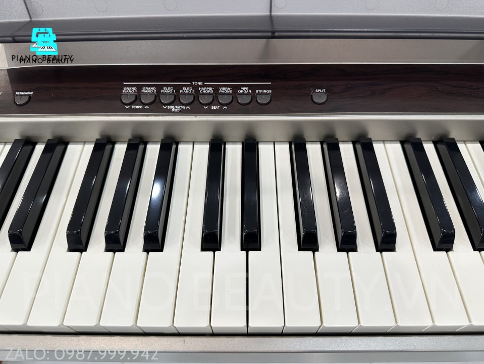 Đàn Piano điện Casio PX100 Casio — ảnh 2