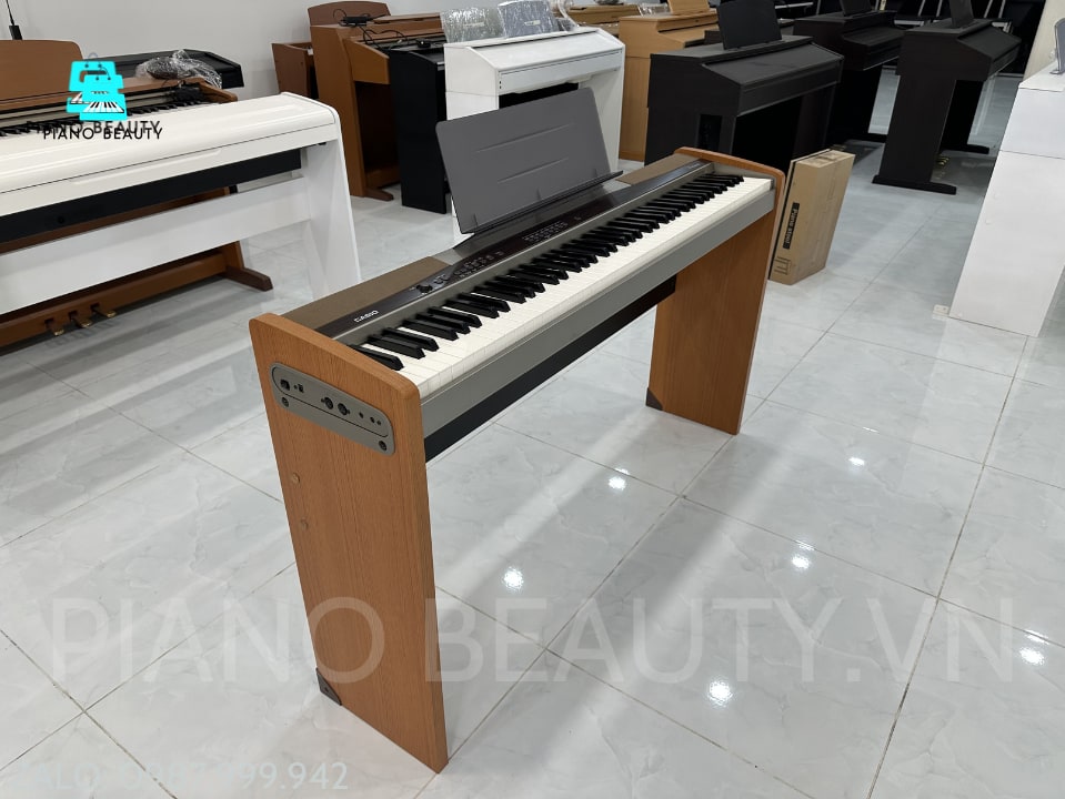 Đàn Piano điện Casio PX100 Casio — ảnh 11