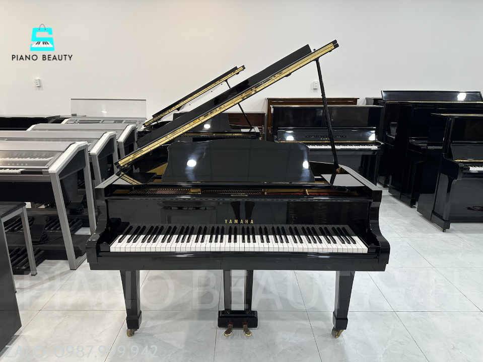 Đàn Piano Grand Yamaha G2 – Baby Grand Nhật Bản Được Ưa Chuộng Nhất Phân Khúc Yamaha — ảnh 4