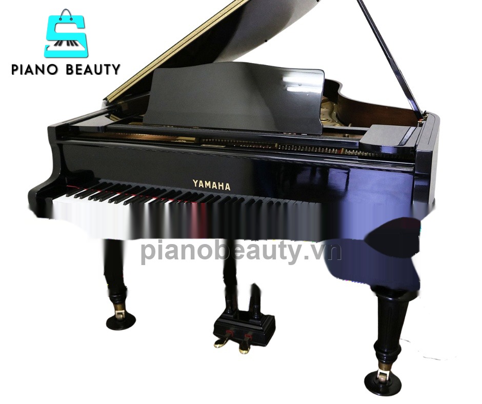 Showroom Piano Beauty