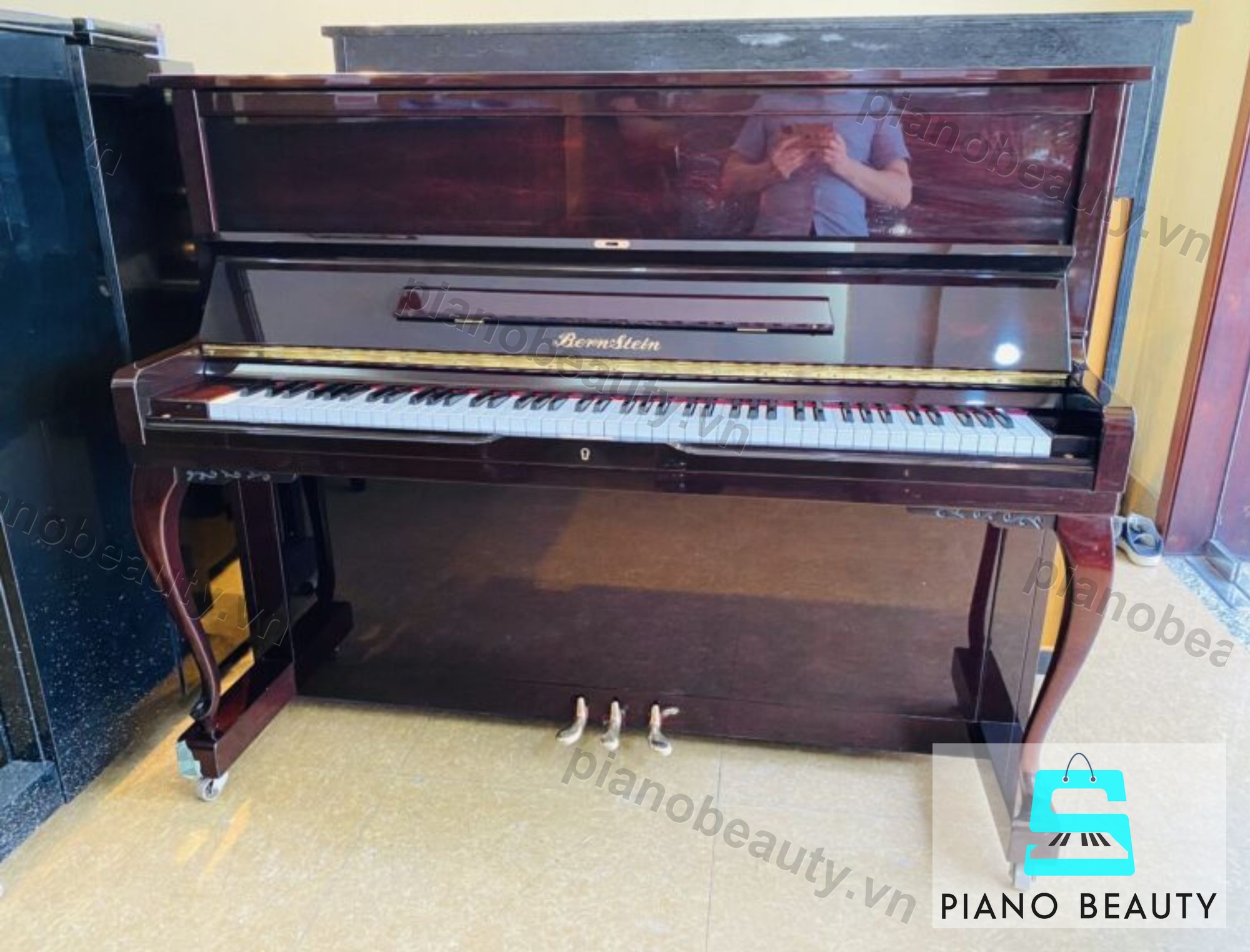 Đàn Piano Bernstein TB220